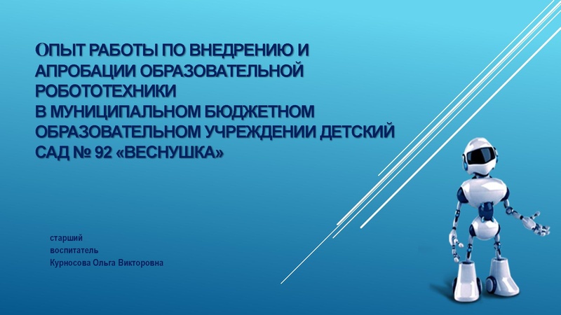 Файл:МБДОУ ДС 17.pdf