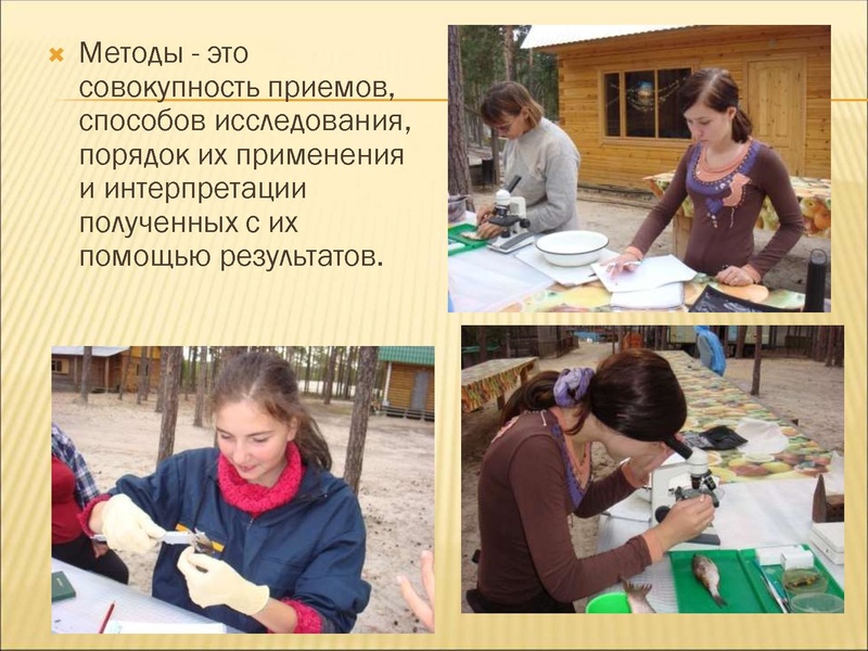 Файл:Организация исследовательской деятельности 2020.pdf