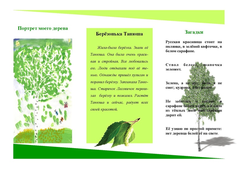 Файл:Буклет моё дерево.pdf