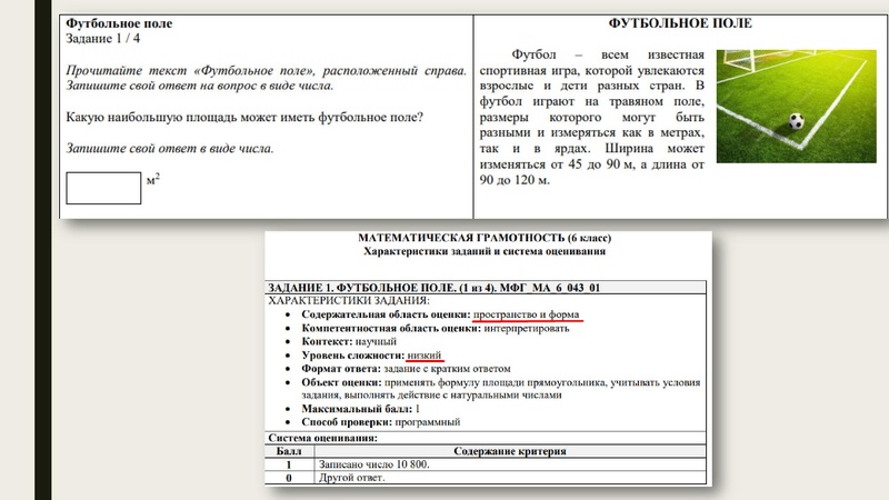 Файл:Рудницкая ЕА Функциональная грамотность.pdf