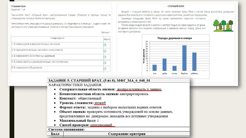 Файл:Рудницкая ЕА Функциональная грамотность.pdf