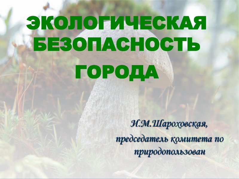 Файл:Экологическая безопасность Сургута.pdf