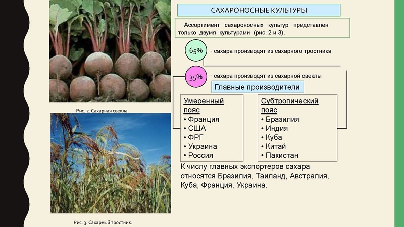 Файл:Mirhozvo.pdf