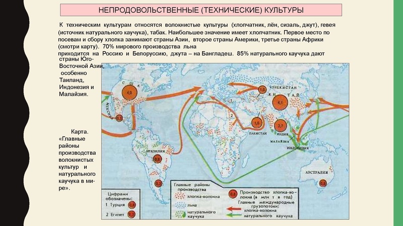 Файл:Mirhozvo.pdf