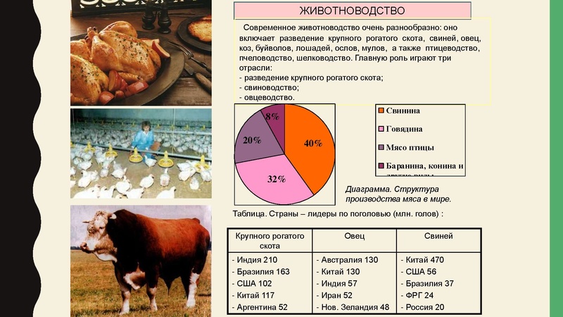 Файл:Mirhozvo.pdf