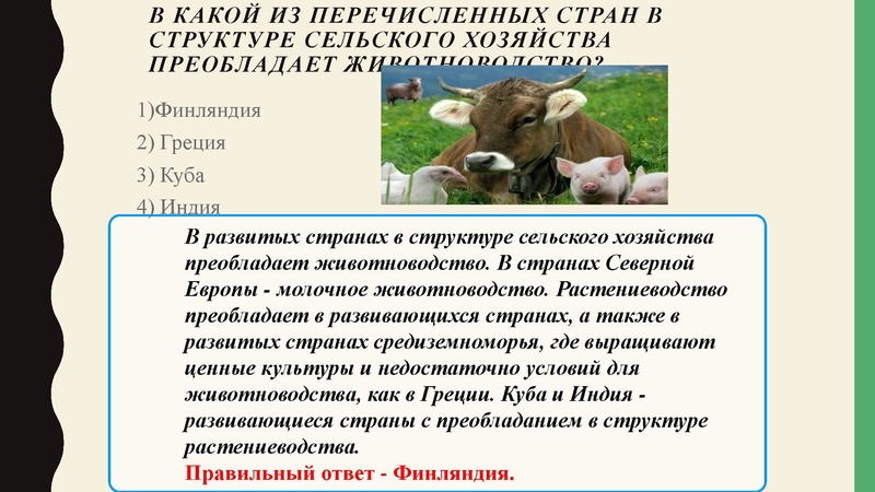 Файл:Mirhozvo.pdf