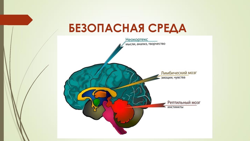 Файл:Нериз Е.В..pdf