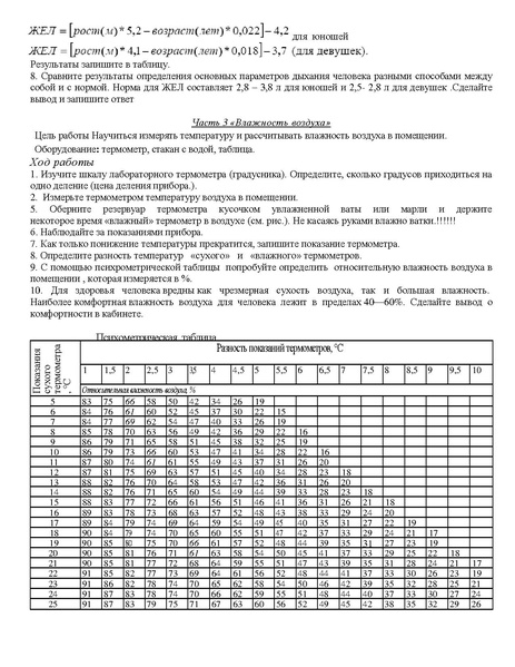 Файл:Человек глазами физика.pdf