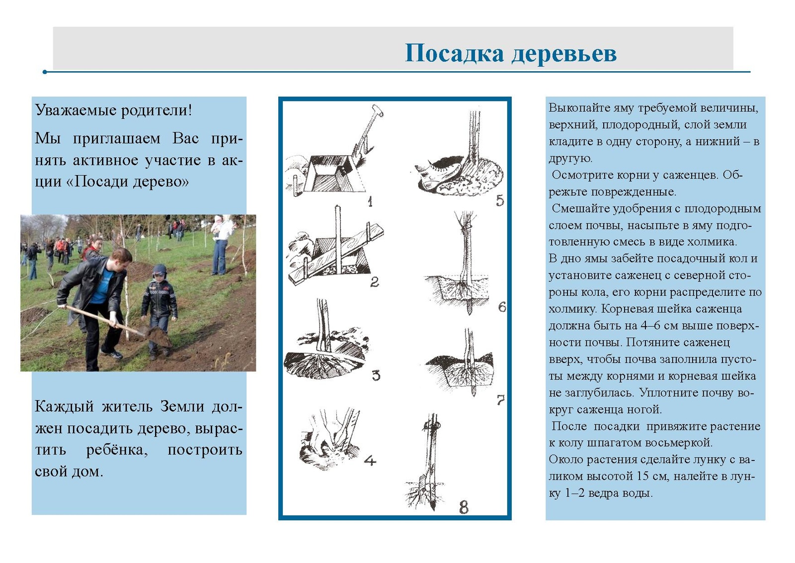 Пересадчик деревьев optima. Пересадка крупномеров. Посадка крупномерных деревьев и кустарников с комом. Технология посадки крупномеров. Технология посадки крупномеров.