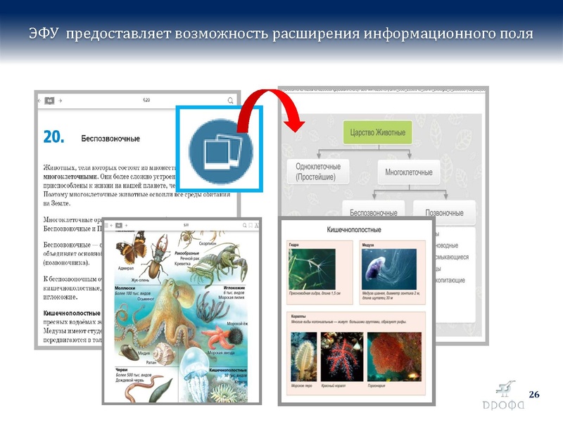 Файл:БиологияДРОФА..pdf