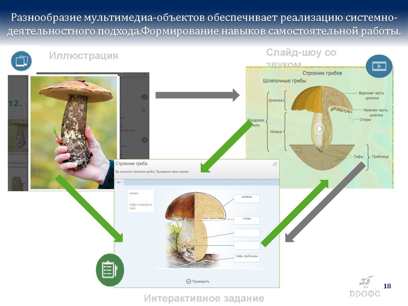 Файл:БиологияДРОФА..pdf
