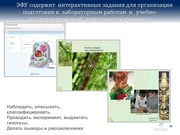 следующая страница →