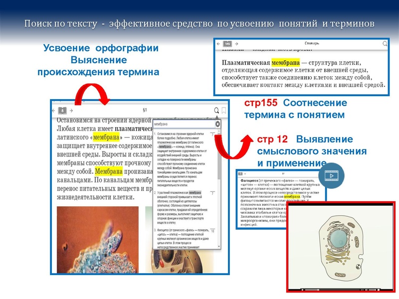 Файл:БиологияДРОФА..pdf