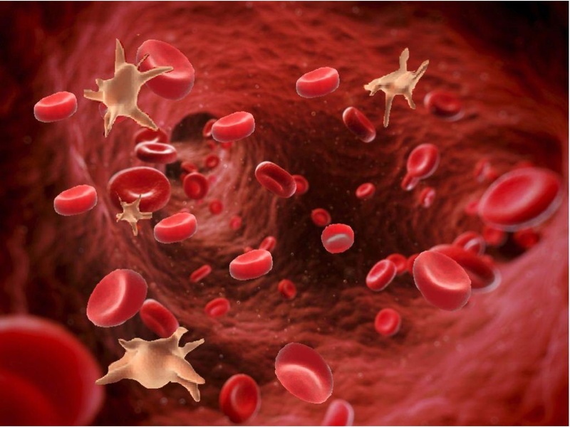 Файл:Аспирин PDF.pdf