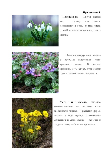 Файл:Малинина Ю.А.pdf