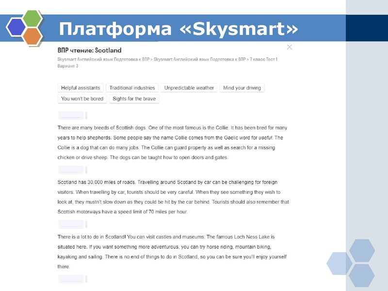 Файл:Подготовка к ВПР Касаева П.В..pdf