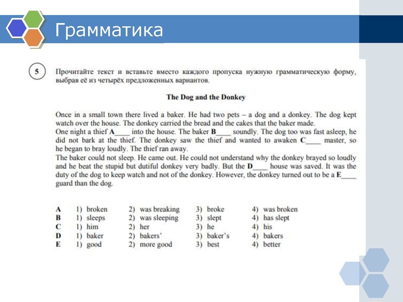 Файл:Подготовка к ВПР Касаева П.В..pdf
