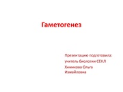 ← предыдущая страница