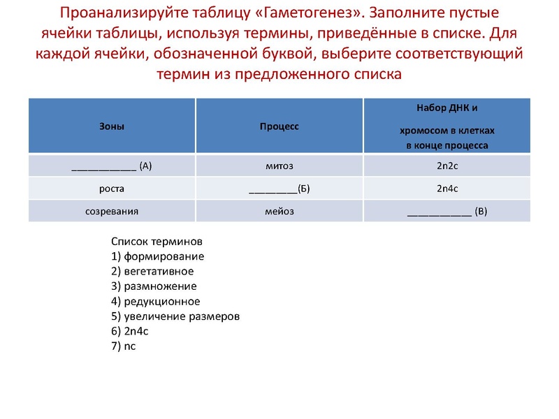 Файл:17,12Гаметогенез.pdf
