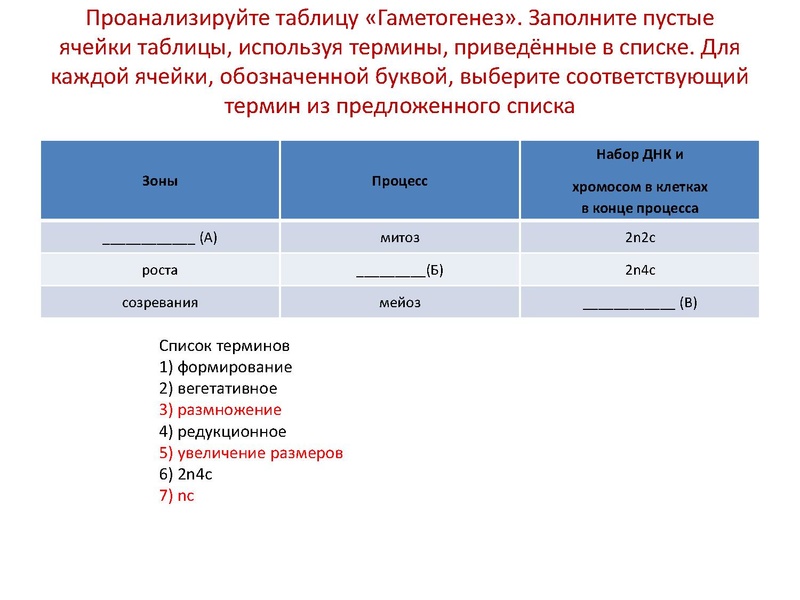 Файл:17,12Гаметогенез.pdf