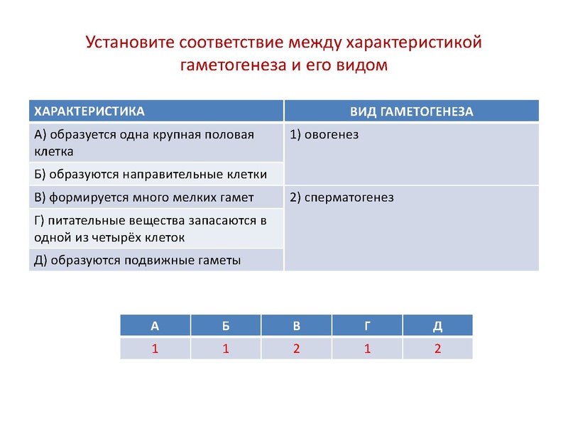 Файл:17,12Гаметогенез.pdf