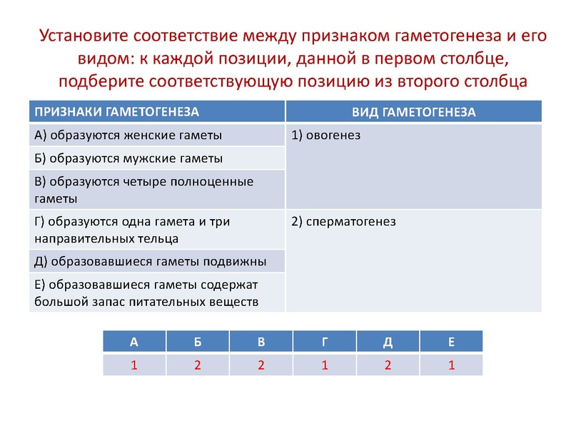 Файл:17,12Гаметогенез.pdf
