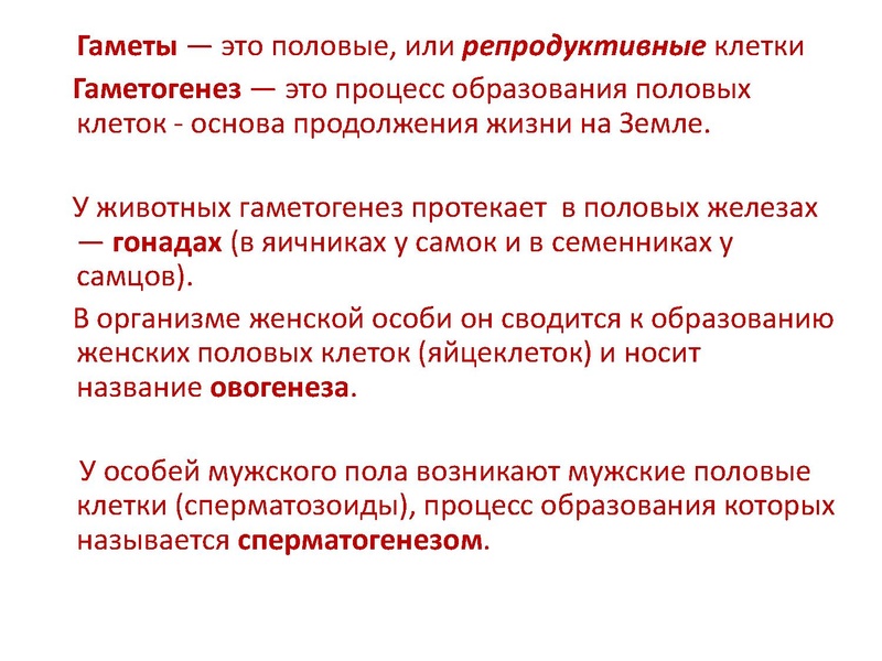 Файл:17,12Гаметогенез.pdf