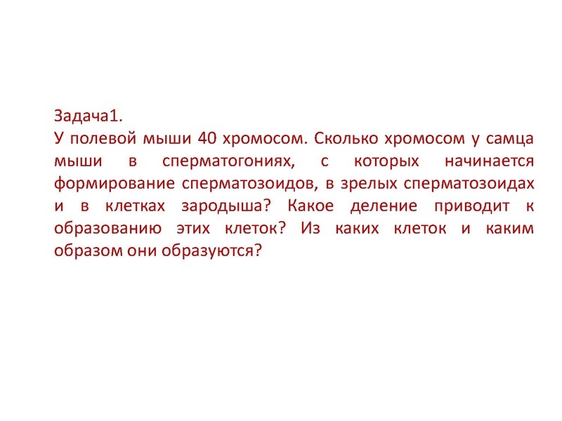 Файл:17,12Гаметогенез.pdf