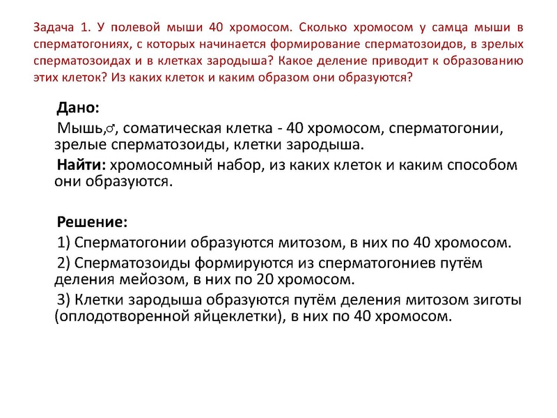 Файл:17,12Гаметогенез.pdf