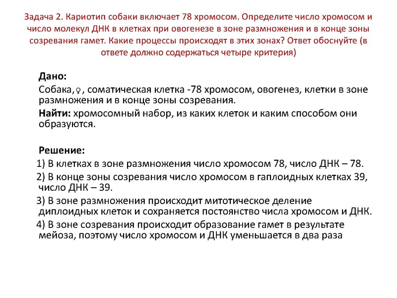 Файл:17,12Гаметогенез.pdf