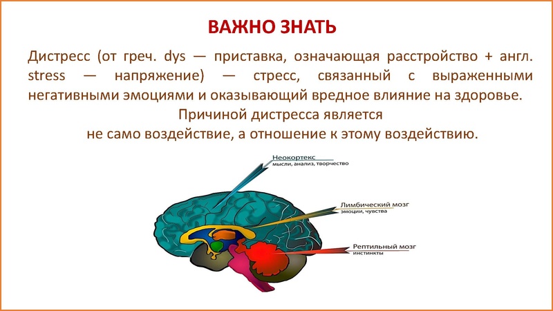 Файл:Нериз Е.В. ЦДК.pdf
