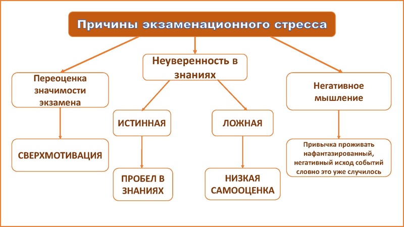 Файл:Нериз Е.В. ЦДК.pdf