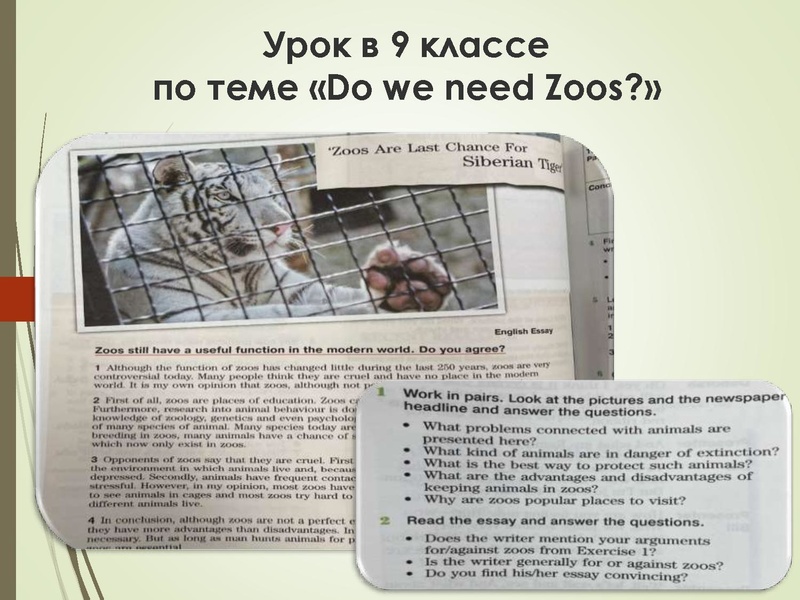 Файл:Лазар М.Т..pdf