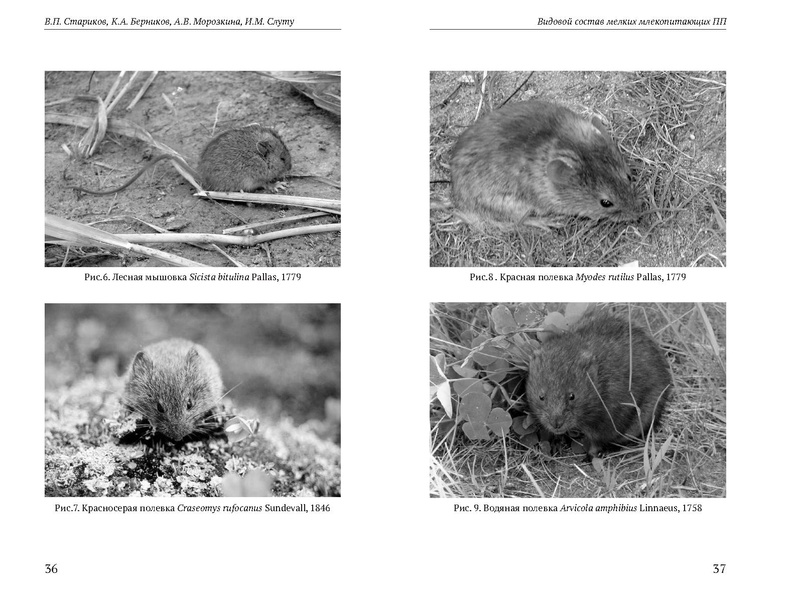 Файл:Природные парки Югры corr.pdf