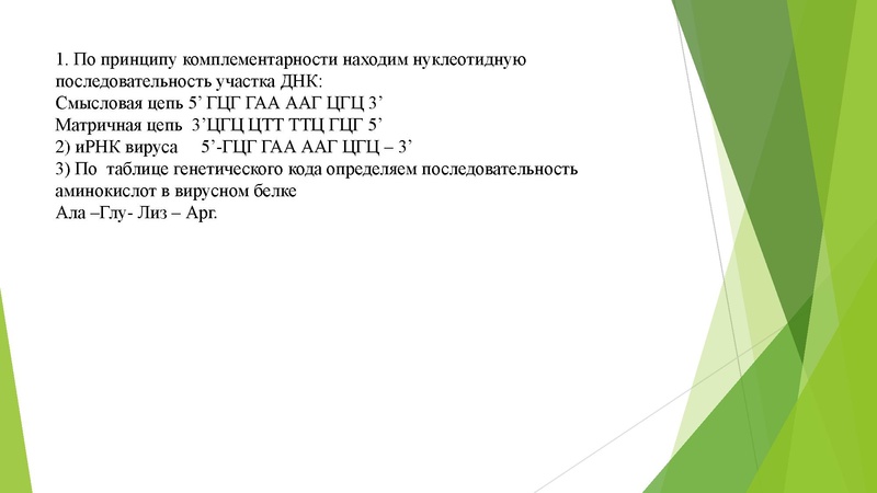 Файл:27 задание.pdf
