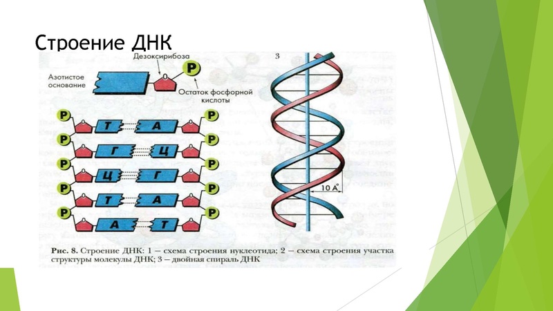 Файл:27 задание.pdf