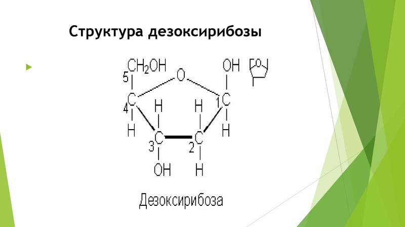 Файл:27 задание.pdf