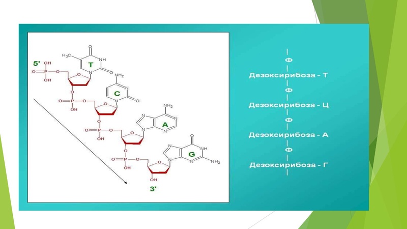 Файл:27 задание.pdf