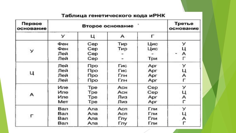 Файл:27 задание.pdf