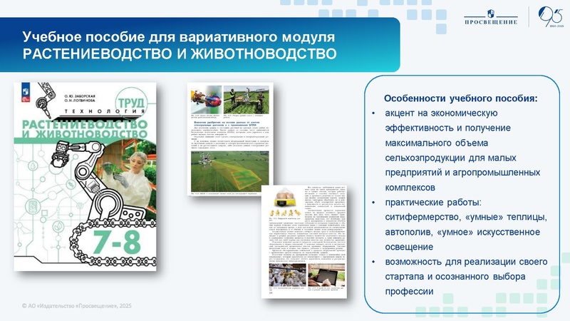 Файл:Uchebnyy-predmet-trud-tehnologiya-praktika-opyt-rezultat.pdf