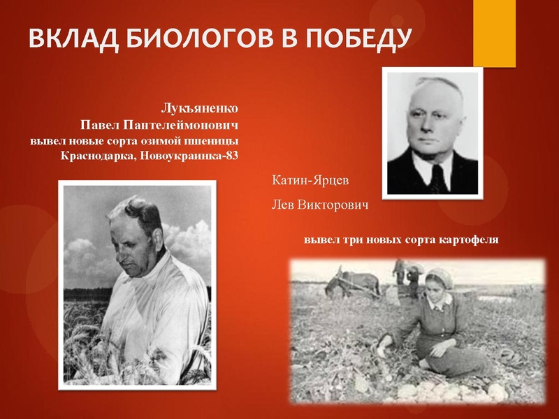 Файл:Учёные войны.pdf