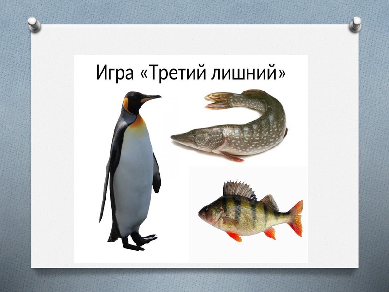 Файл:Блиц-игры на уроке.pdf