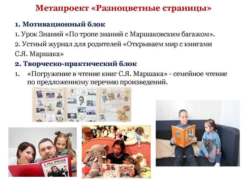 Файл:Добрягина Е.Д. Межпредметные.pdf