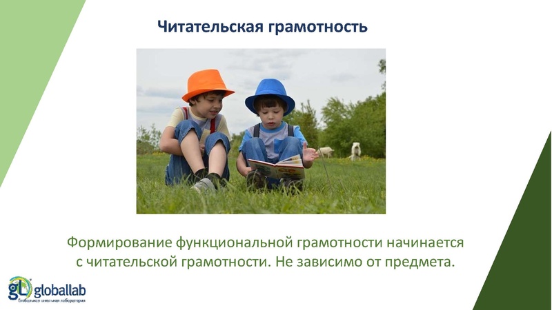 Файл:ГлобалЛаб - ФГ Опаловский В.А..pdf