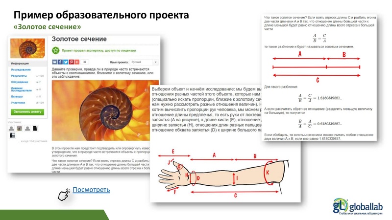 Файл:ГлобалЛаб - ФГ Опаловский В.А..pdf