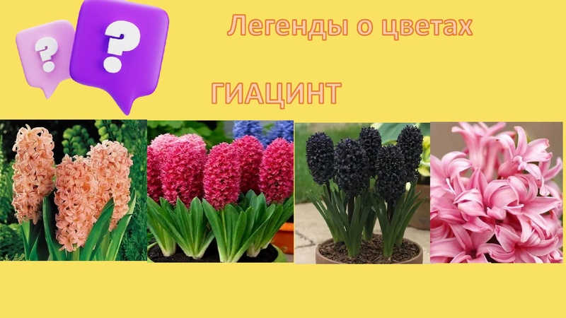 Файл:Легенды о цветах.pdf