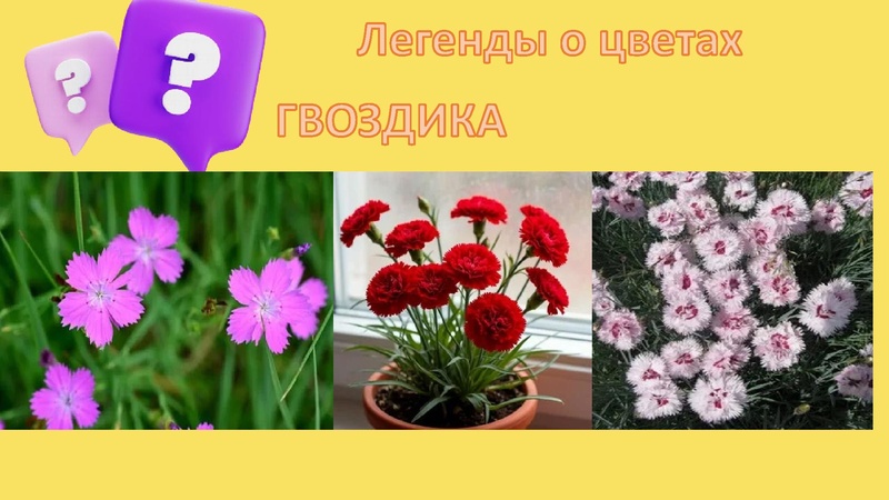 Файл:Легенды о цветах.pdf