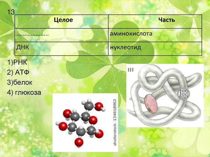 Файл:Подготовка к ГИА по биологии.pdf