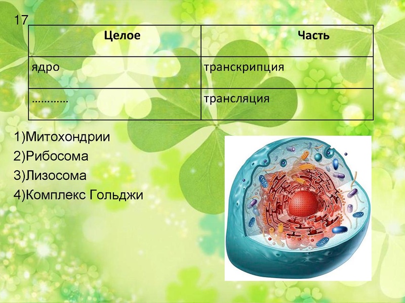 Файл:Подготовка к ГИА по биологии.pdf