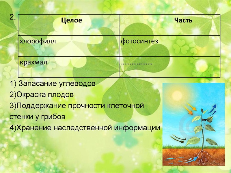 Файл:Подготовка к ГИА по биологии.pdf